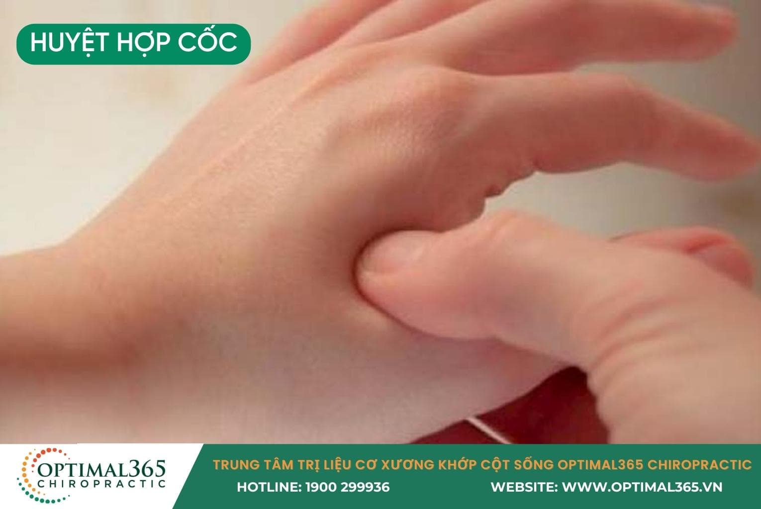 Vị trí huyệt Hợp Cốc (LI4) trên mu bàn tay.