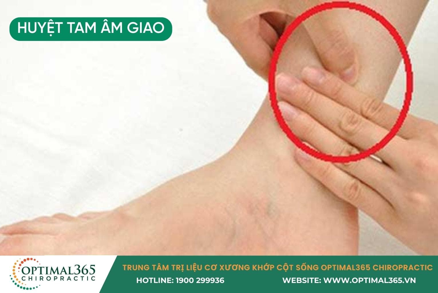 Vị trí huyệt Tam Âm Giao (SP6) mặt trong cổ chân.