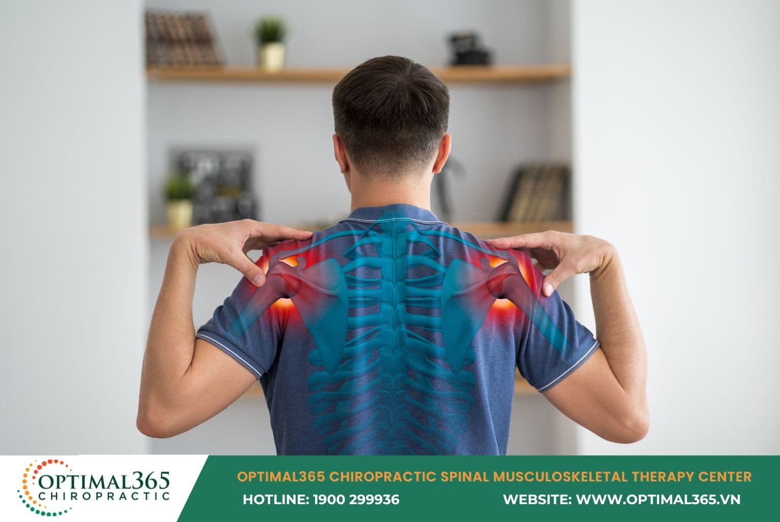 What is Shoulder Range of Motion?