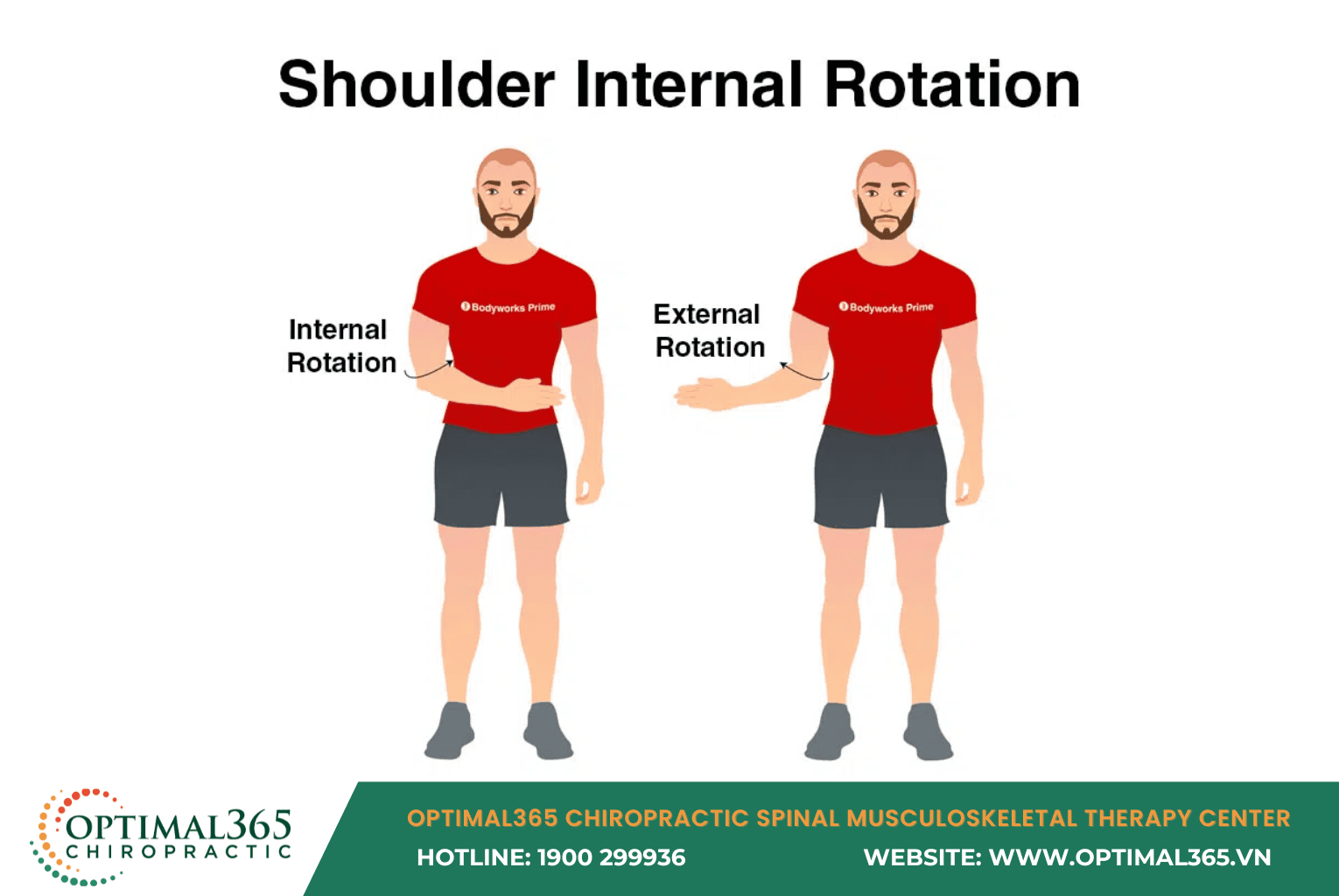 Shoulder Internal Rotation
