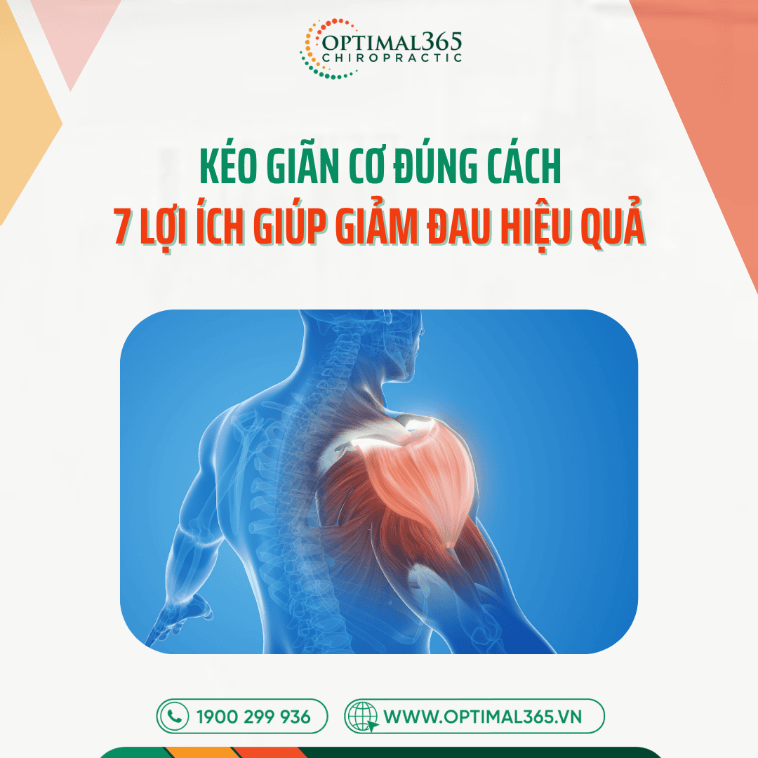 Kéo Giãn Cơ Đúng Cách: 7 Lợi Ích Giúp Giảm Đau Hiệu Quả
