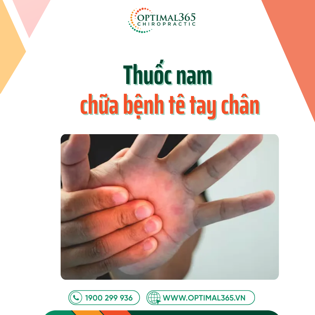 Thuốc nam chữa bệnh tê tay chân: Giải pháp an toàn, dễ áp dụng tại nhà