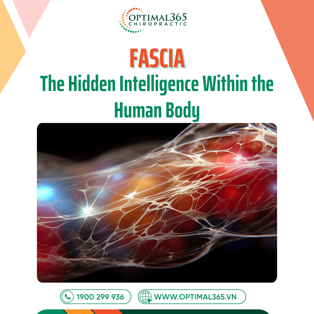 Fascia – The Hidden Intelligence Within the Human Body