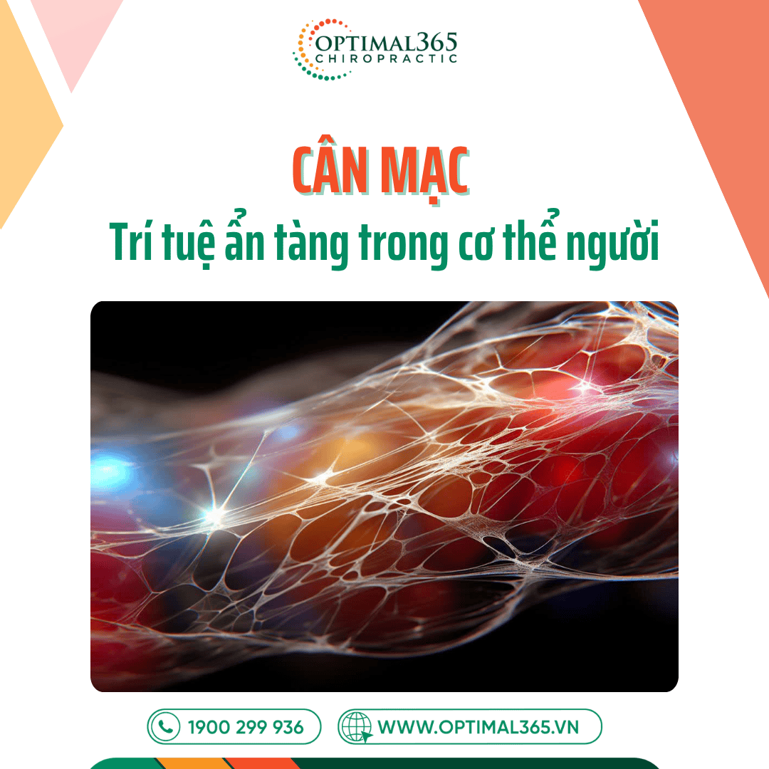 CÂN MẠC – Trí tuệ ẩn tàng trong cơ thể người
