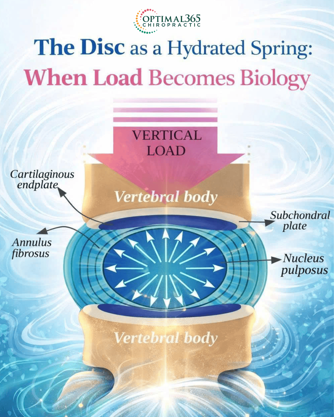 Decoding Disc Biology: Why Your Spine Needs “Conditions” Rather Than Just “Repairs”