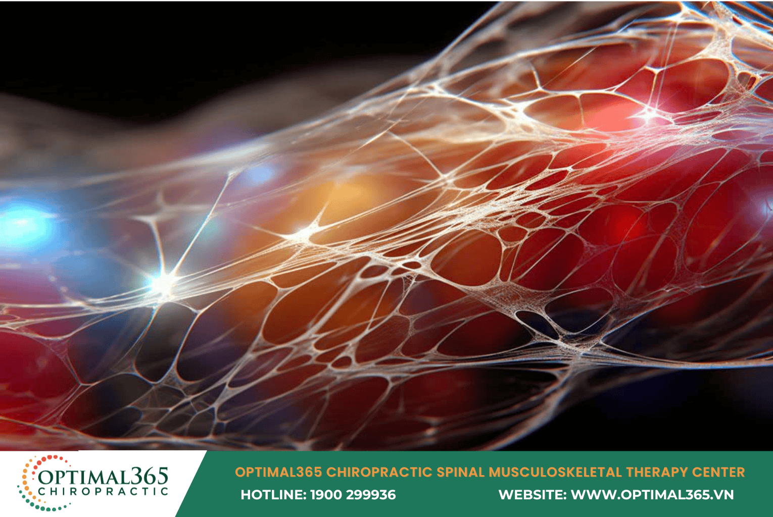 The Body’s Forgotten Sensory Organ