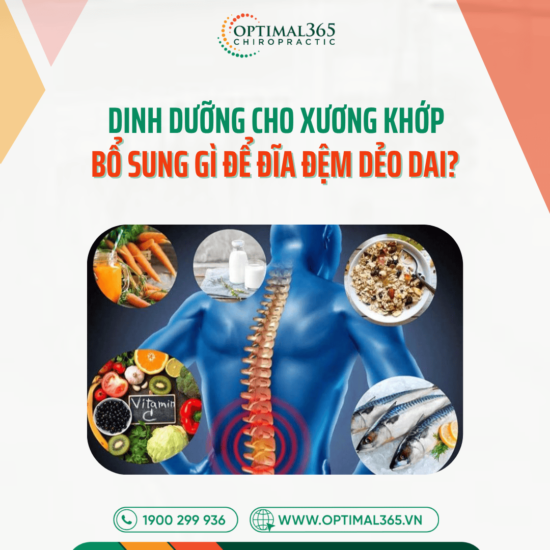 Dinh Dưỡng Cho Xương Khớp: Bổ Sung Gì Để Đĩa Đệm Dẻo Dai?