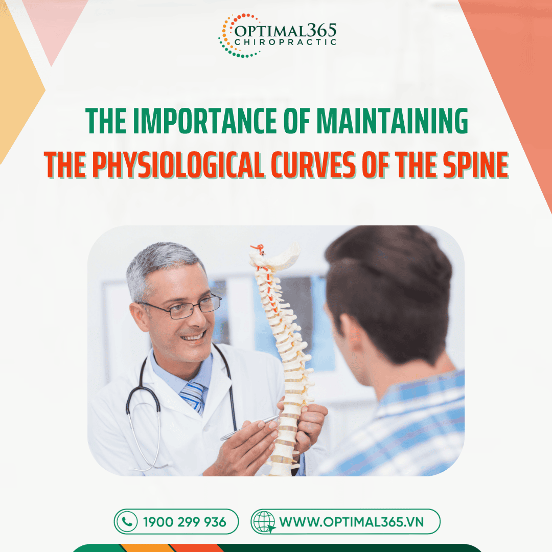 The Importance of Maintaining the Physiological Curves of the Spine